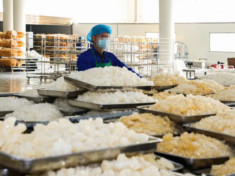 Guangxi Rock Sugar Produciton Plant