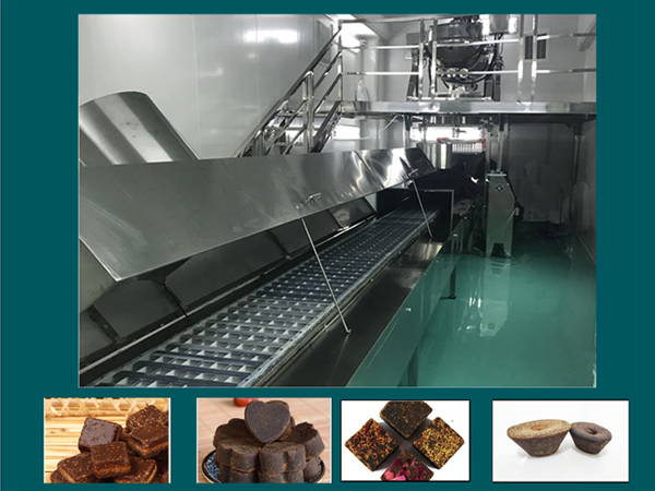 Block-Brown-Sugar-Molding-Production-Line-Machine-1764.jpg